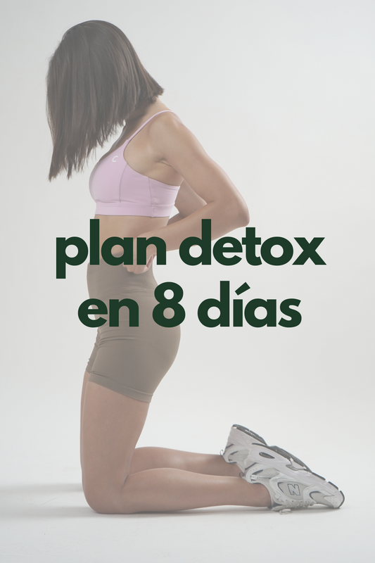 Ebook Detox